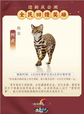 明星私服天龙八部